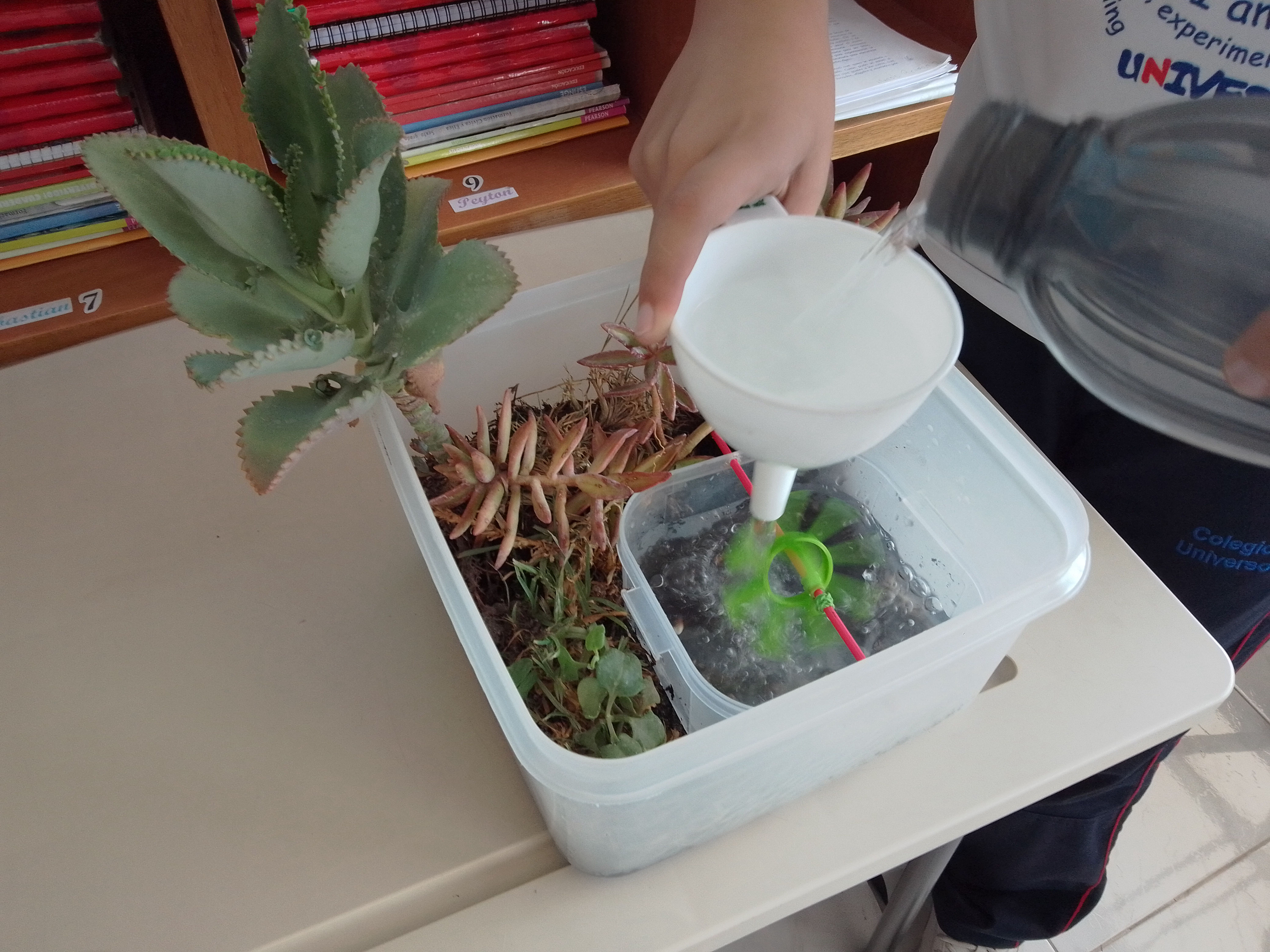 Colegio Universo, San Pedro Cholula, Puebla - Maternal y Pre-Kinder - Kinder 1, 2 y 3 - Primaria - educación bilingüe